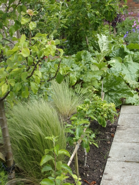 Seaford Community Garden